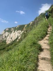 Then the path climbs up to Beer Head